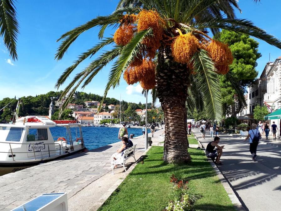 Apartments Rilovic, City And Sea View Apartments Cavtat Luaran gambar