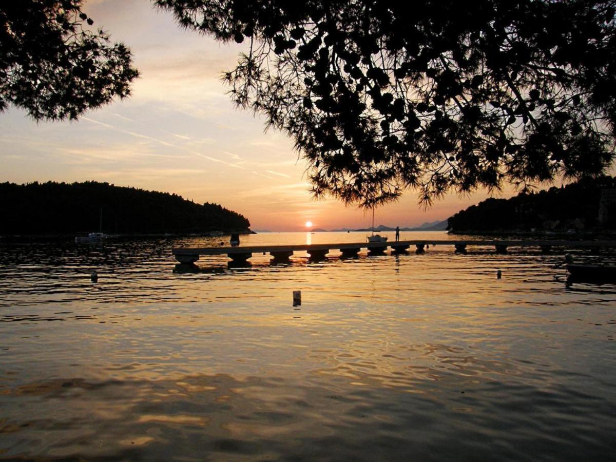 Apartments Rilovic, City And Sea View Apartments Cavtat Luaran gambar